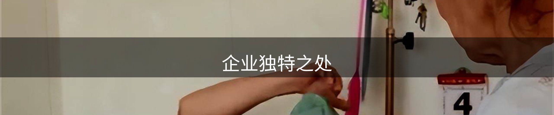 企业独特之处